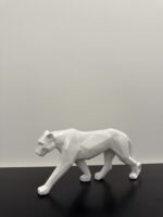 Tiger - Image 5