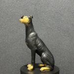 Whippet Dog