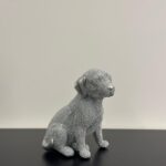 labradord dog