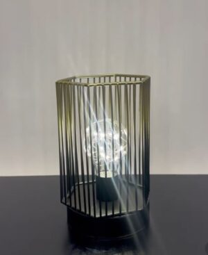 Caged Lamp