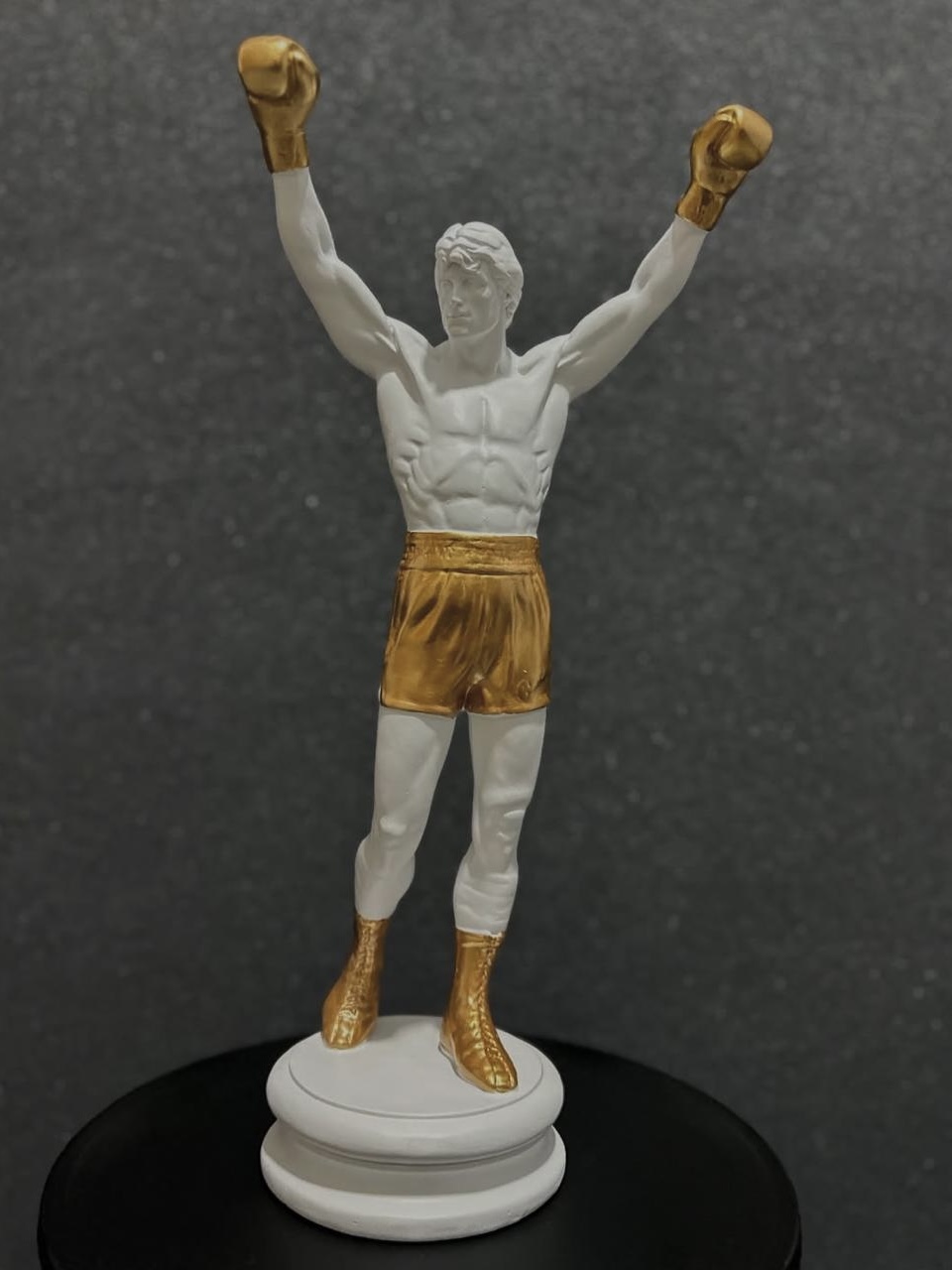 IMG_3230 Victory Stance - Image 1