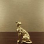 Sitting Leopard