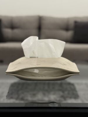 Resin tissue box