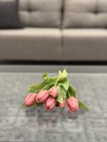 Tulips - Image 3