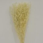 Dried Natural Bouquet