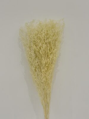 Dried Natural Bouquet