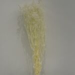 Dried Gypsophila - Image 3