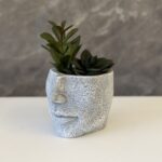 Art Face Planter - Image 2