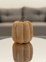 Large Pumpkin - Image 3