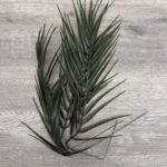 Artificial Palm Leaf Stem (3 pcs)
