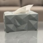 Geometric Tissue Box