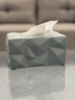 Geometric Tissue Box